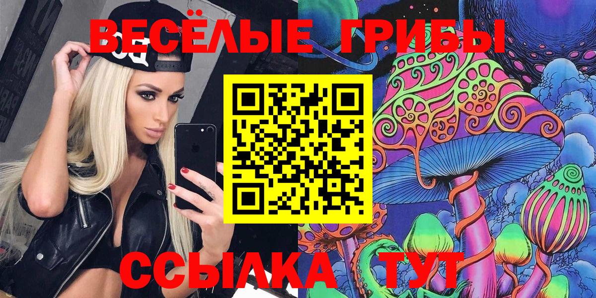 Дубна  Галлюциногенные грибы Psilocybine cubensis  Вход с VPN 